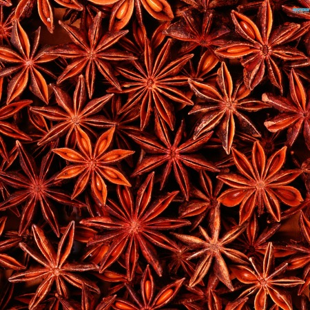 Anise Star Essential Oils 2